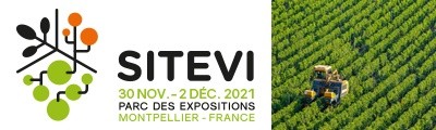 Sitevi