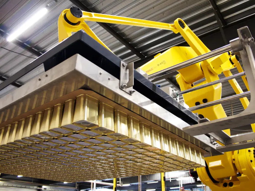 MCA Process Palletizer